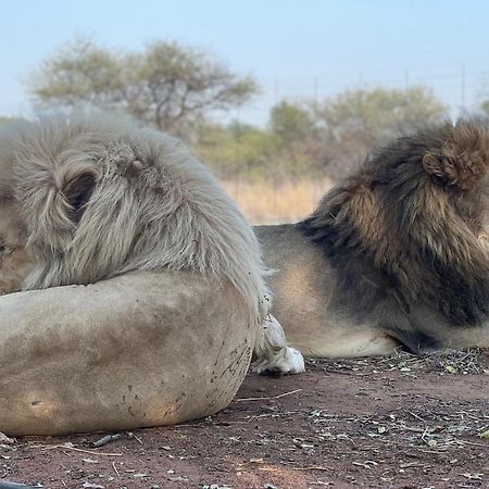 Simba Safaris African Pride Exotic Lodge Lephalale Екстериор снимка