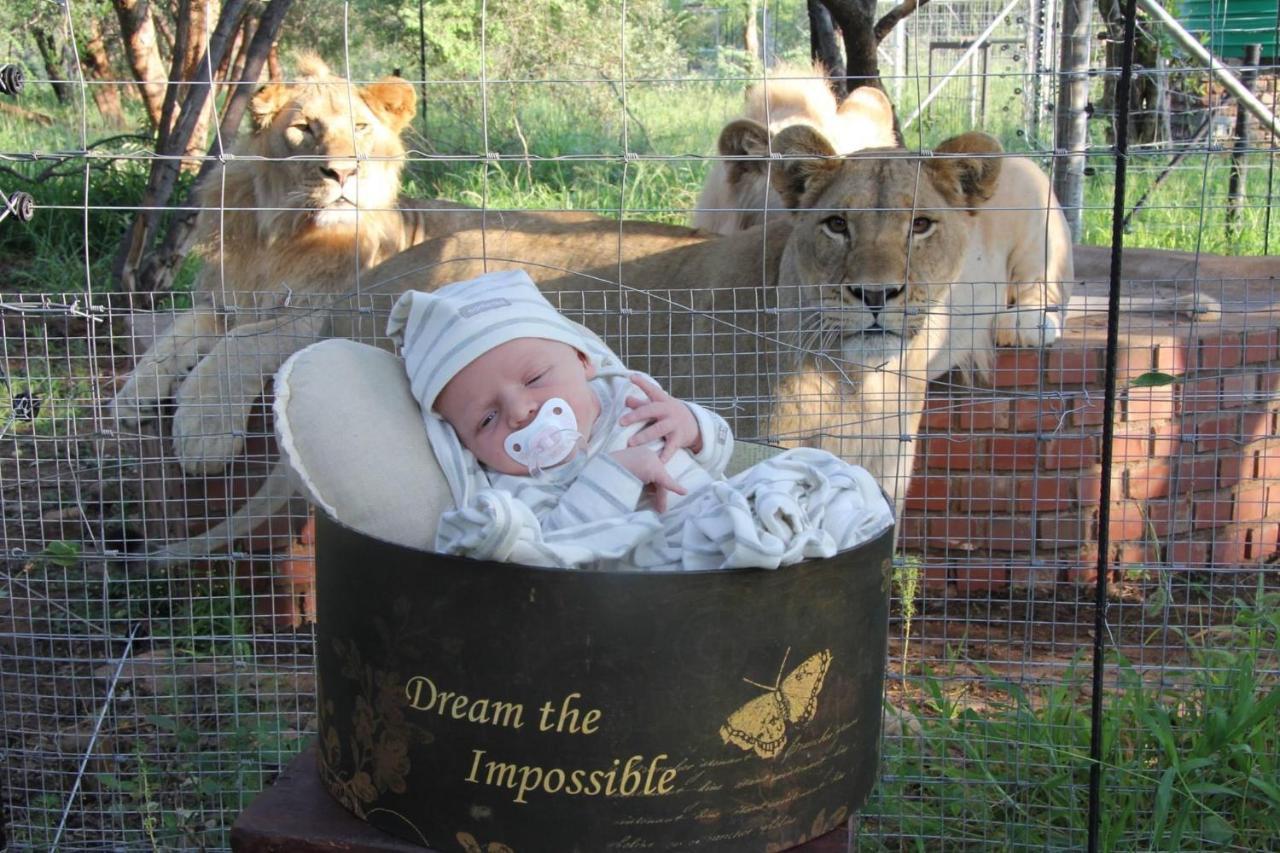 Simba Safaris African Pride Exotic Lodge Lephalale Екстериор снимка