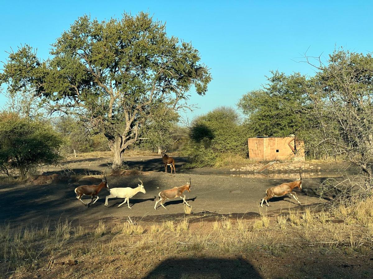 Simba Safaris African Pride Exotic Lodge Lephalale Екстериор снимка
