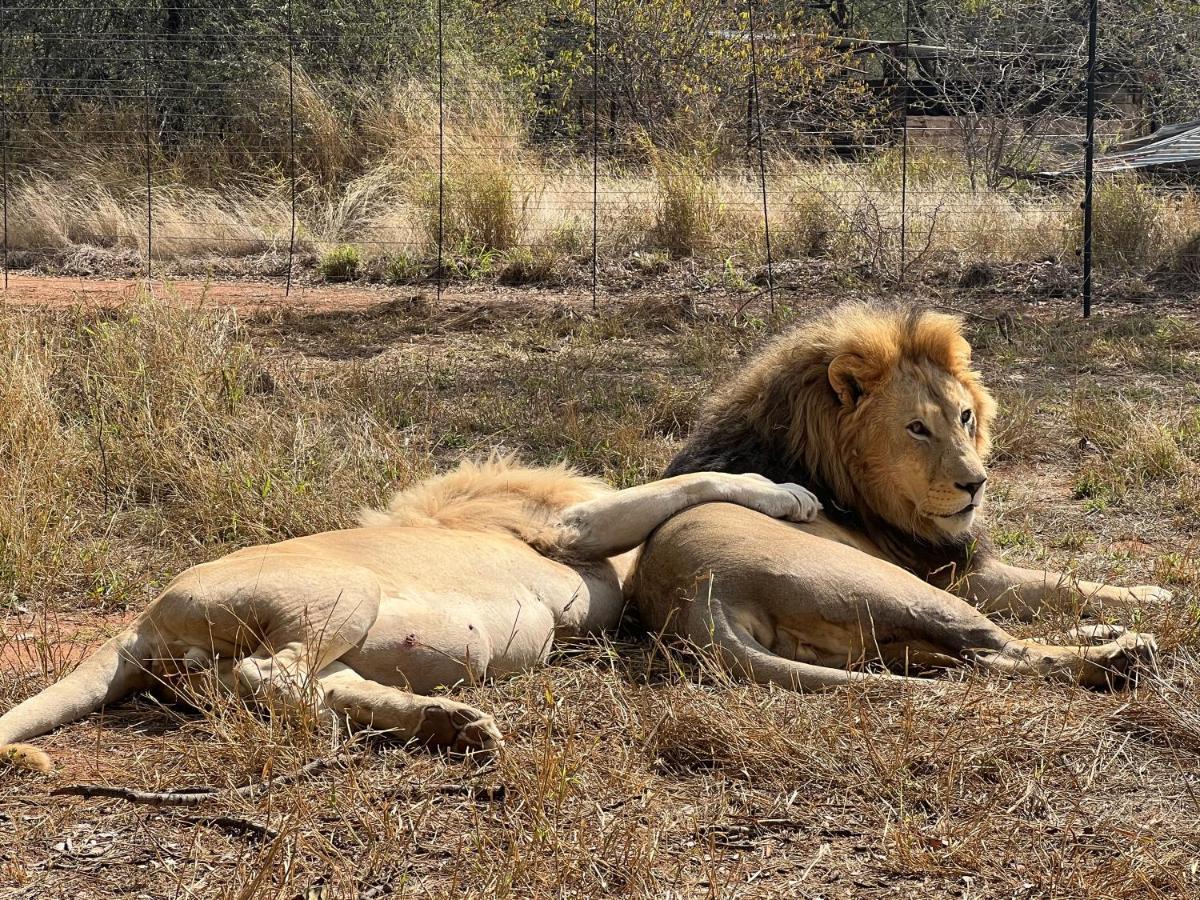 Simba Safaris African Pride Exotic Lodge Lephalale Екстериор снимка