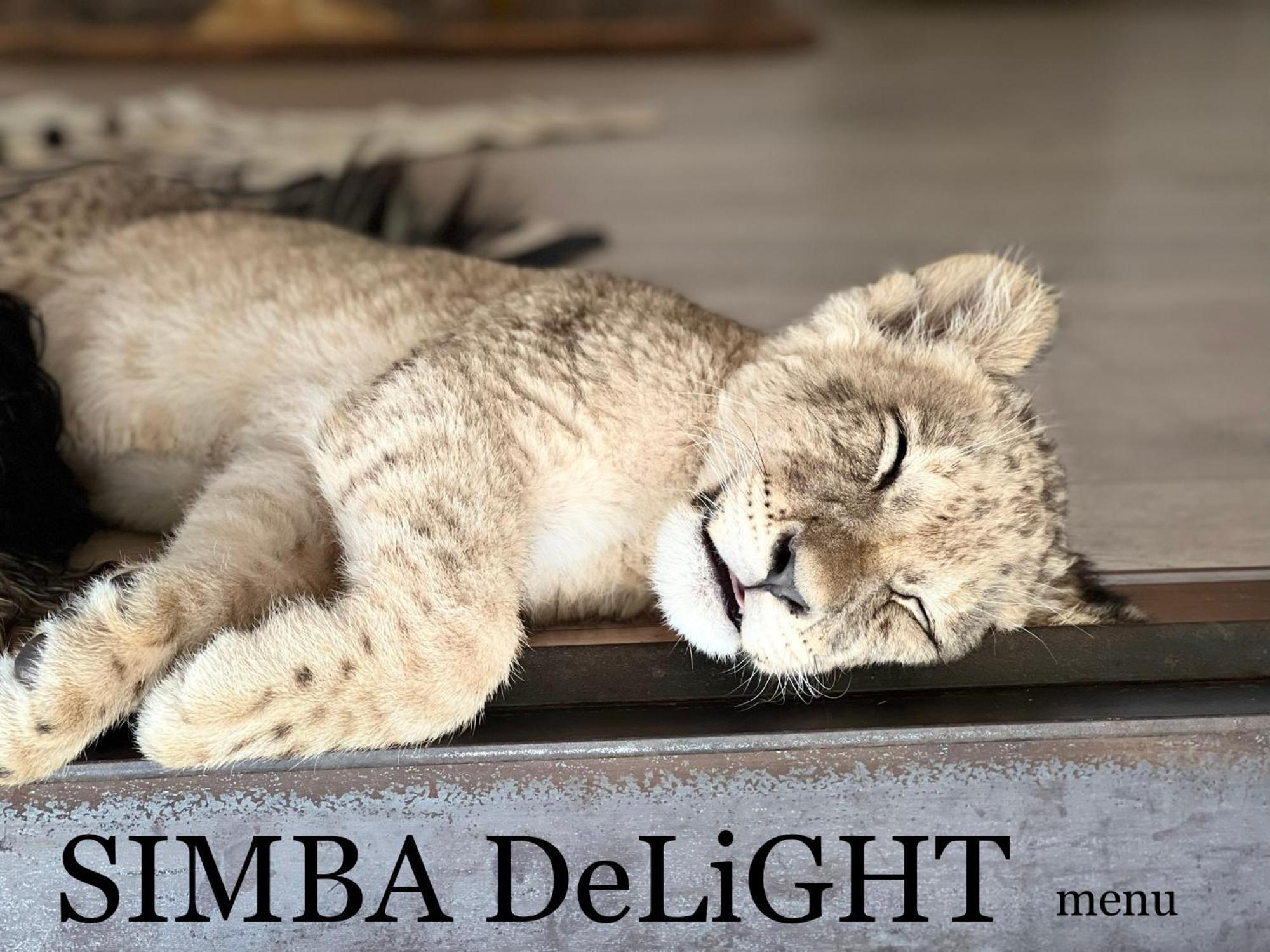 Simba Safaris African Pride Exotic Lodge Lephalale Екстериор снимка