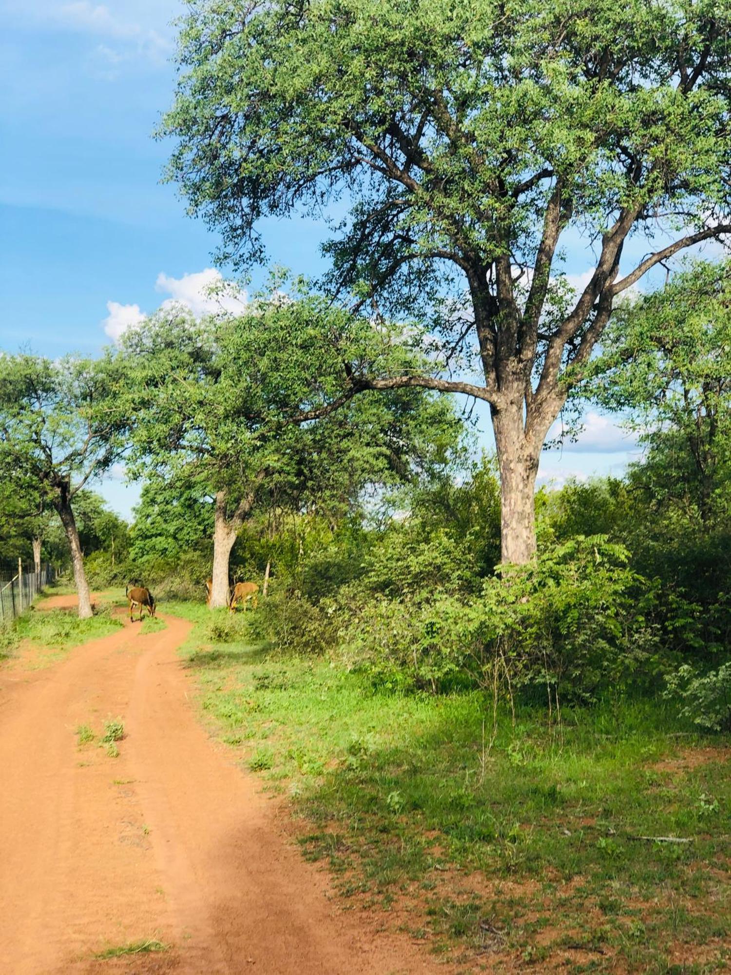 Simba Safaris African Pride Exotic Lodge Lephalale Екстериор снимка