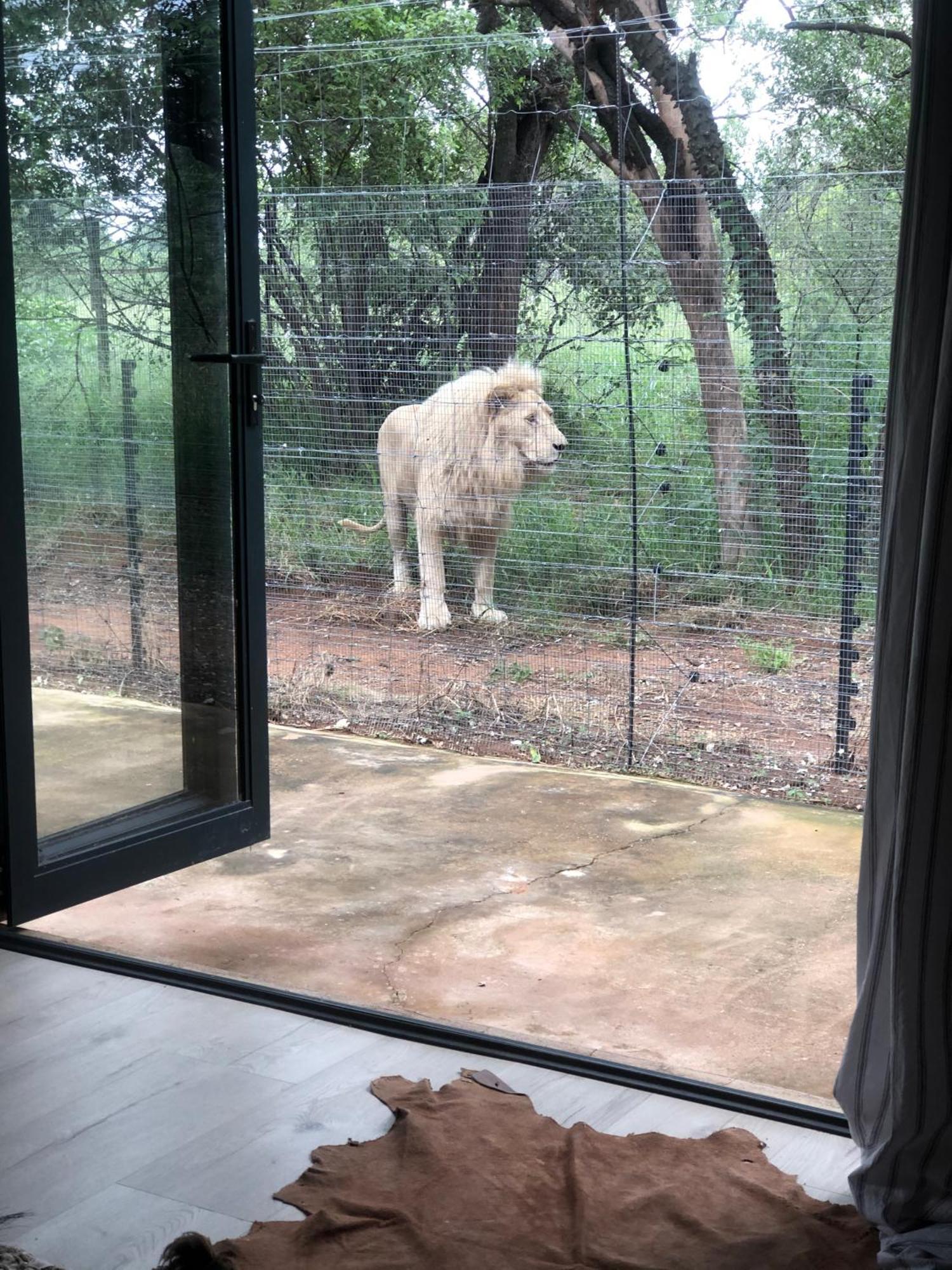 Simba Safaris African Pride Exotic Lodge Lephalale Екстериор снимка
