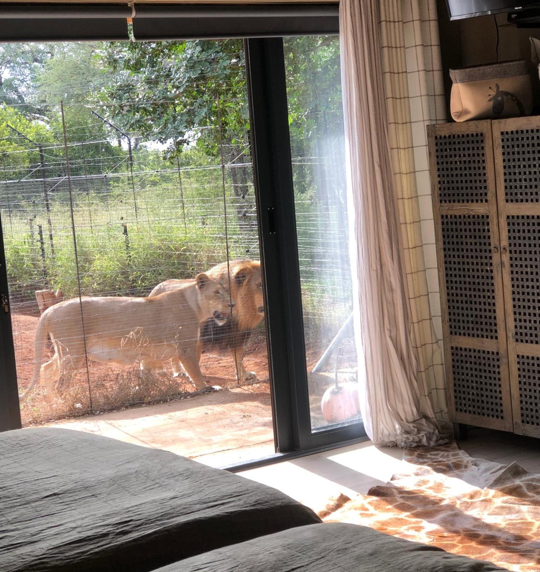 Simba Safaris African Pride Exotic Lodge Lephalale Екстериор снимка