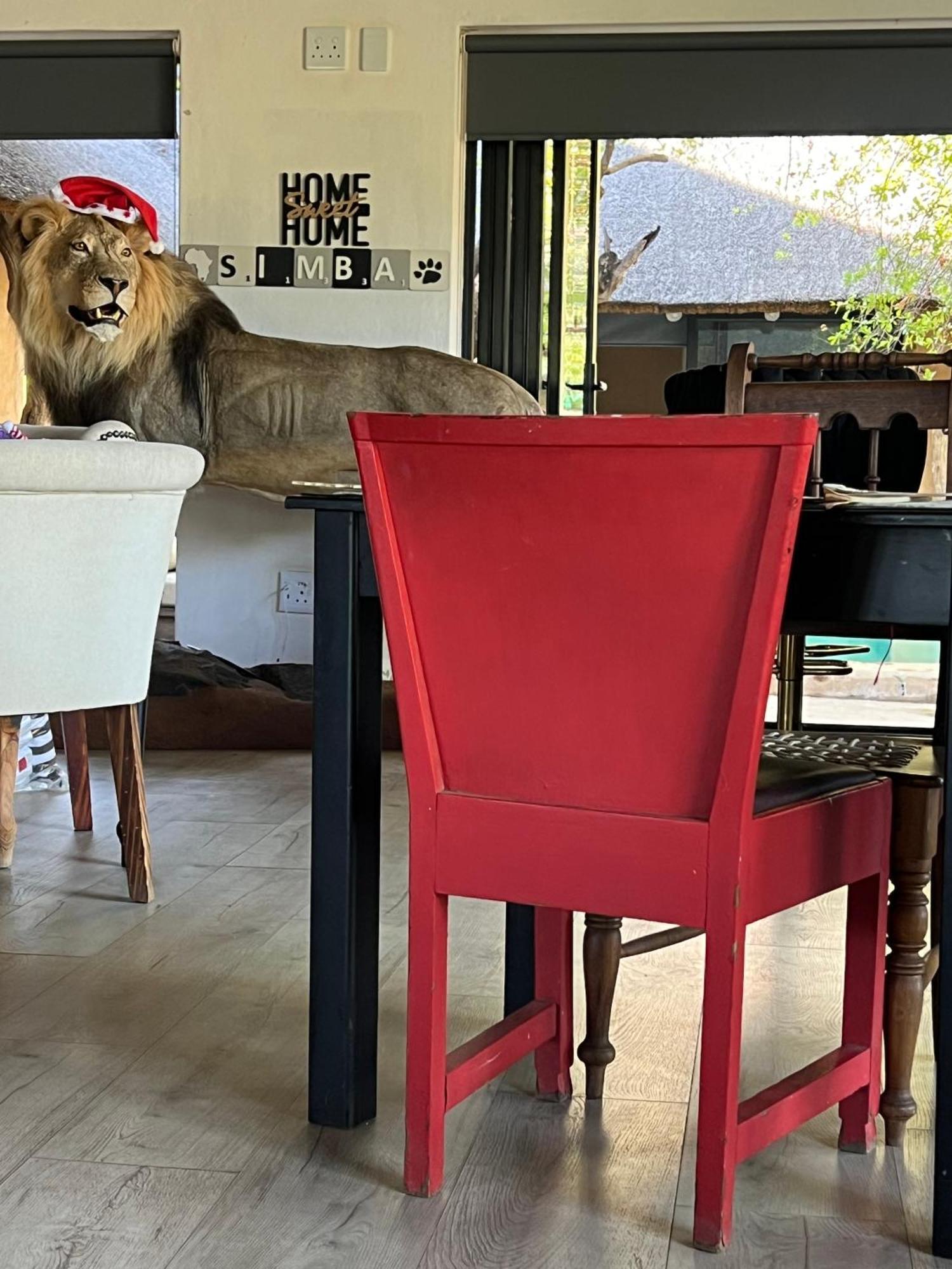 Simba Safaris African Pride Exotic Lodge Lephalale Екстериор снимка