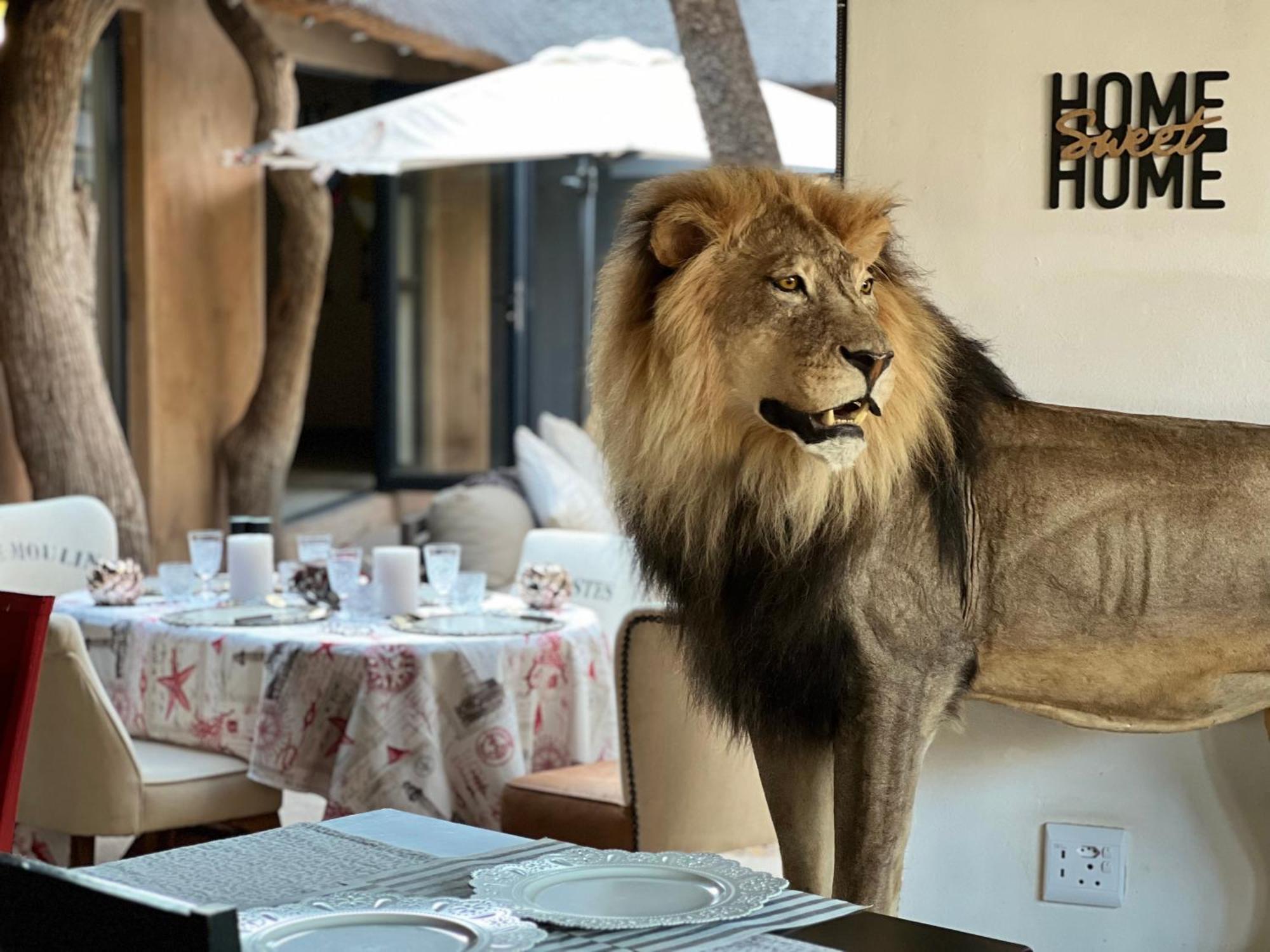 Simba Safaris African Pride Exotic Lodge Lephalale Екстериор снимка