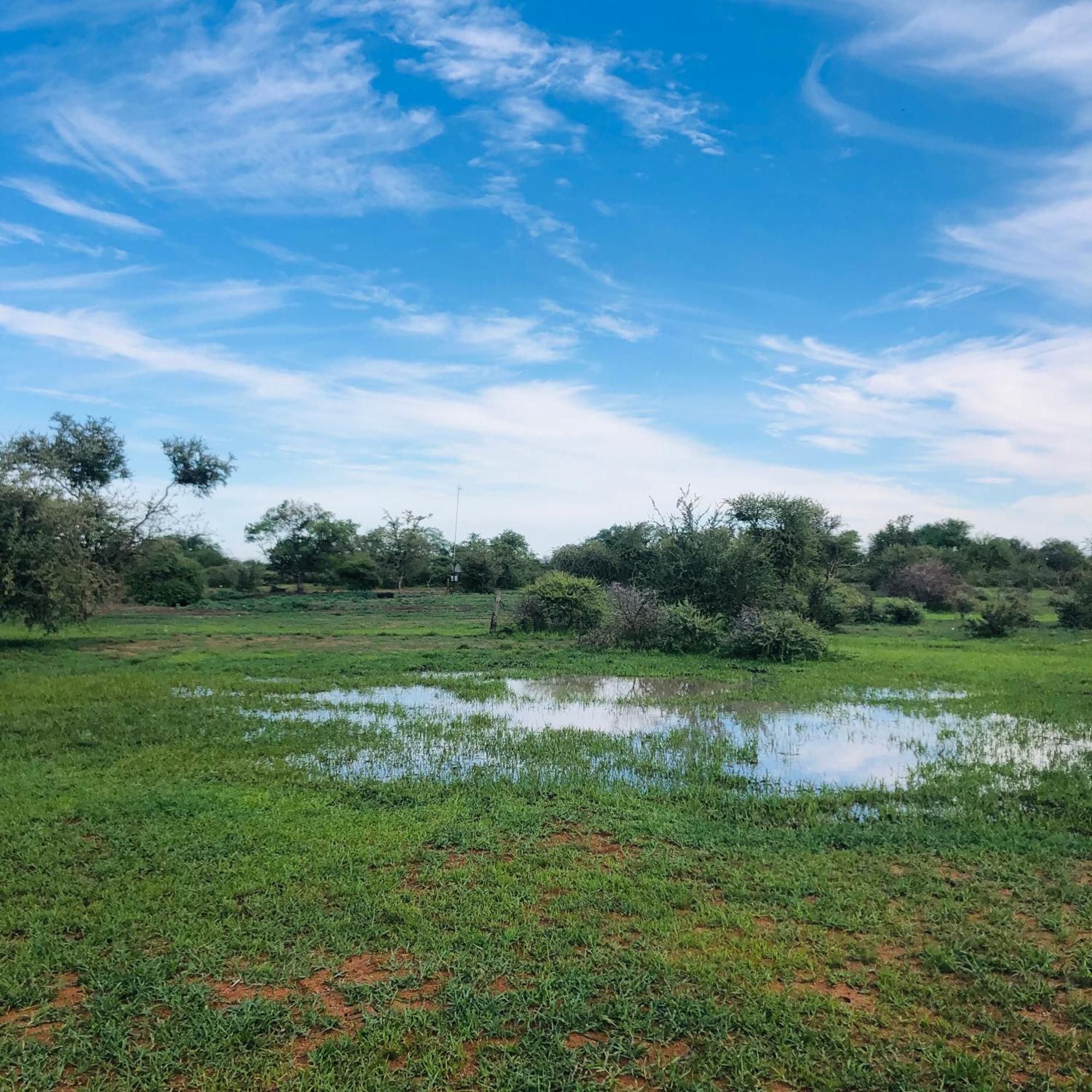 Simba Safaris African Pride Exotic Lodge Lephalale Екстериор снимка
